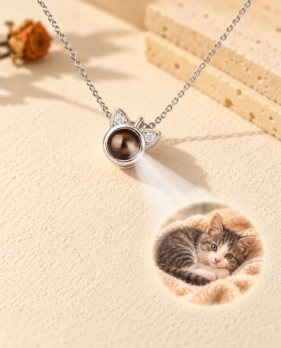 Collier oreilles de chat argenté projetant une photo de chaton sur le plâtre crème