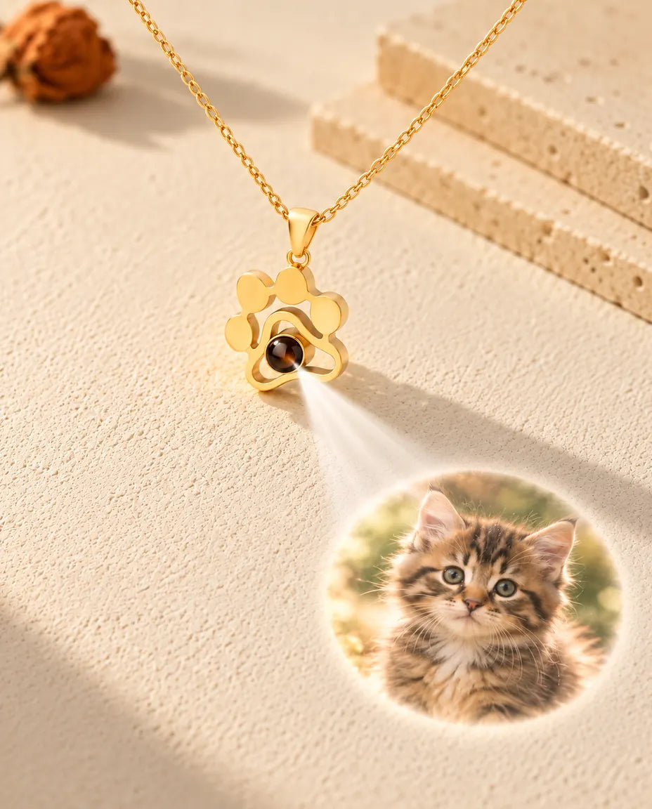 Collier patte doré projetant une photo de chaton sur le plâtre crème