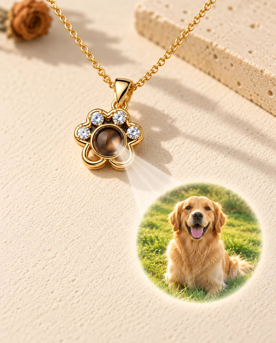 Collier patte doré projetant la photo d'un golden retriever sur le plâtre